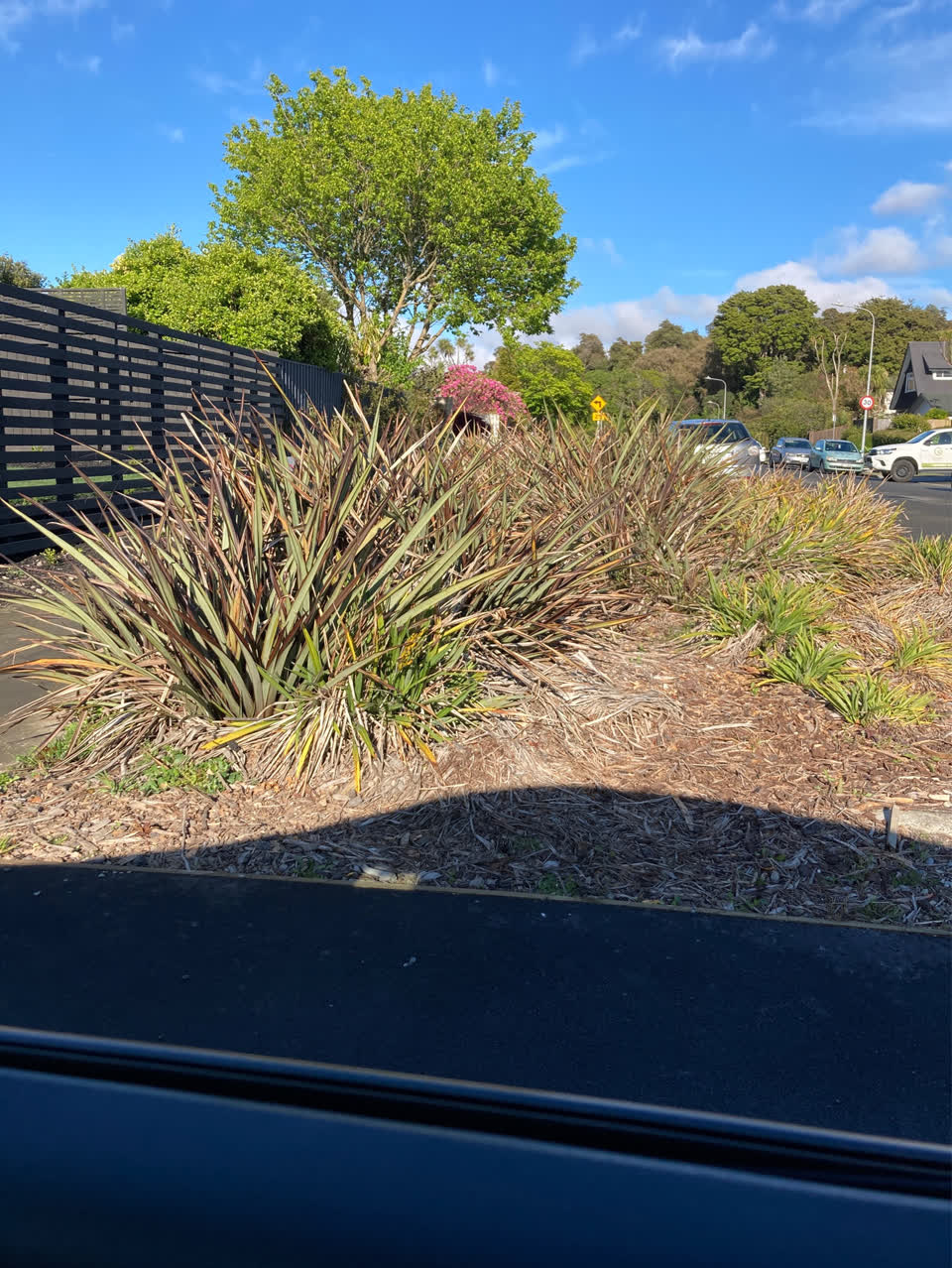 The photograph attached to this overgrown vegetation report
