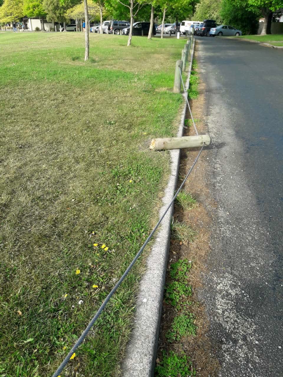 The photograph attached to this parks report