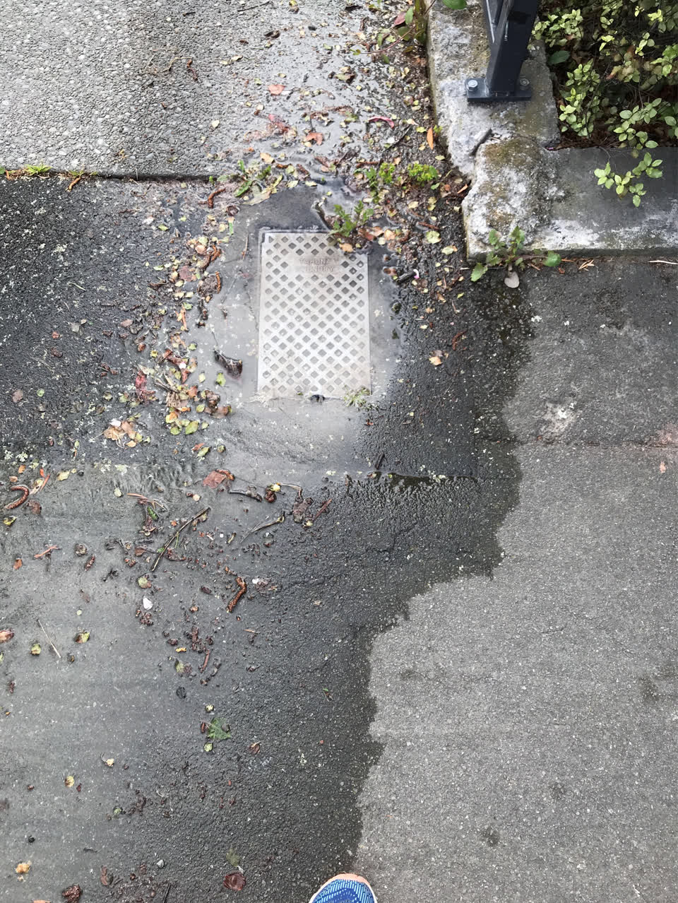 The photograph attached to this water leak report