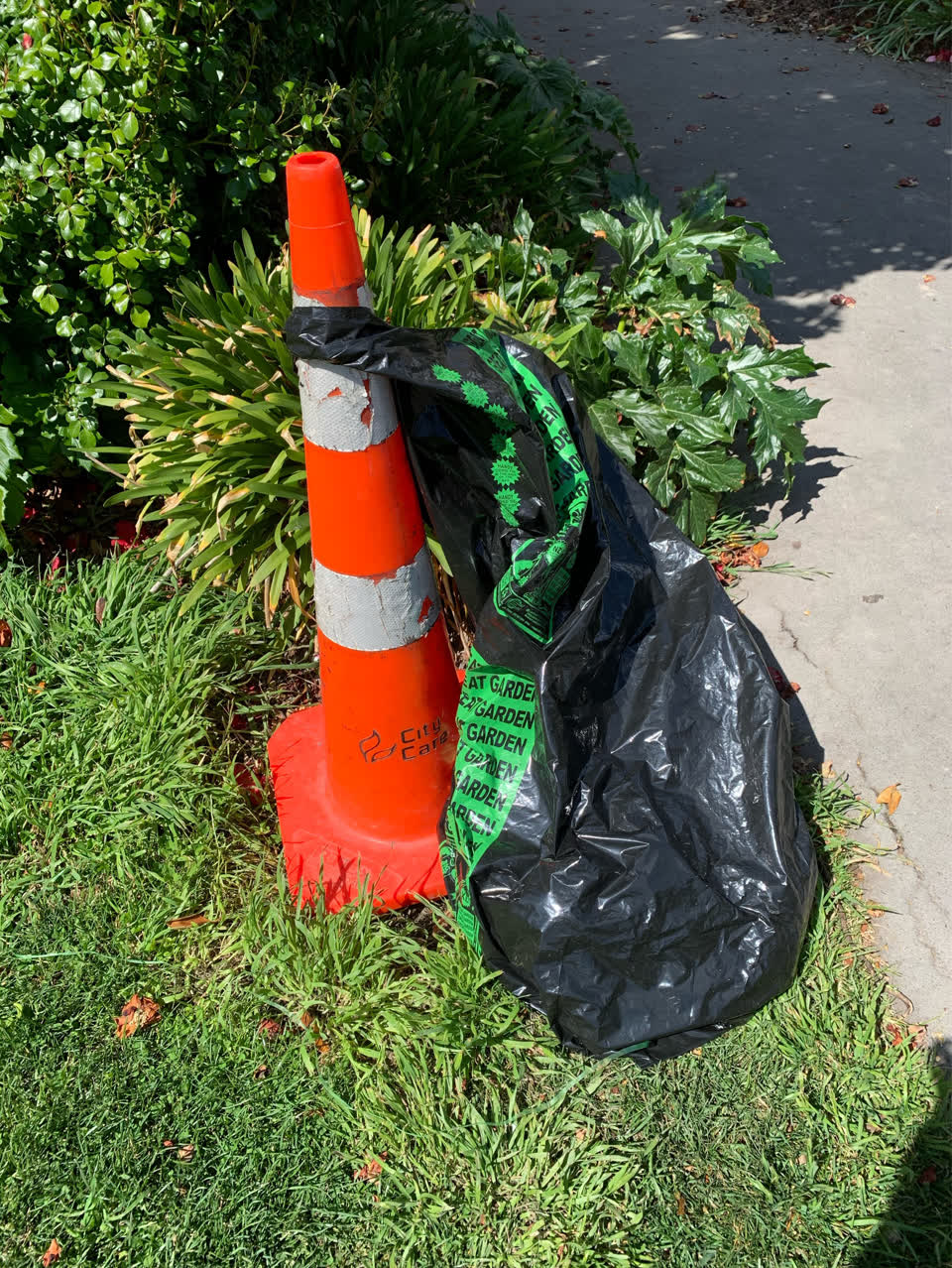 The photograph attached to this rubbish and bins - general report