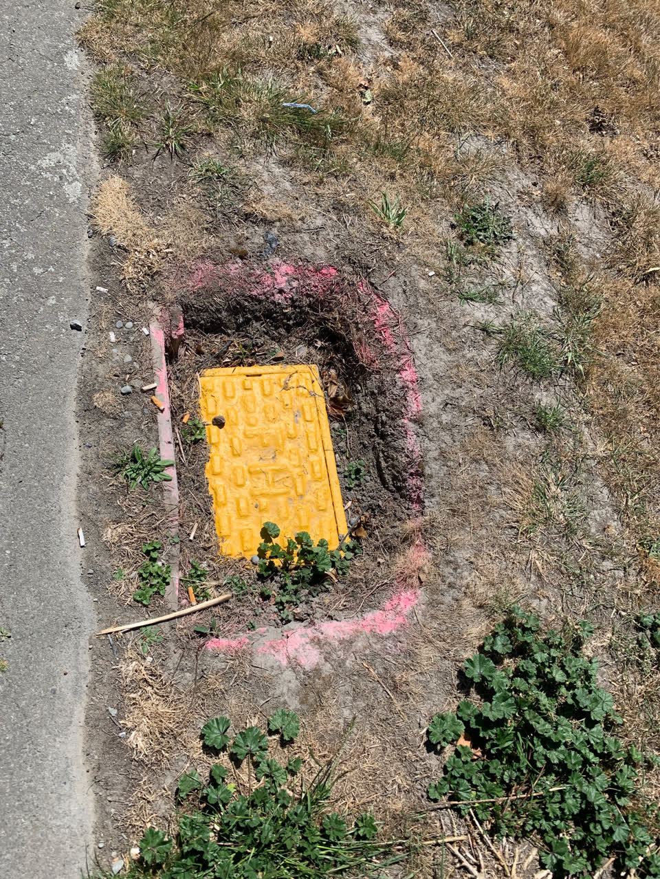 The photograph attached to this pavement - damaged report