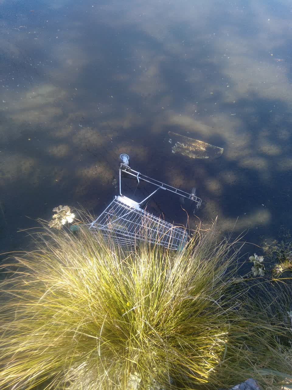The photograph attached to this general - abandoned trolley report