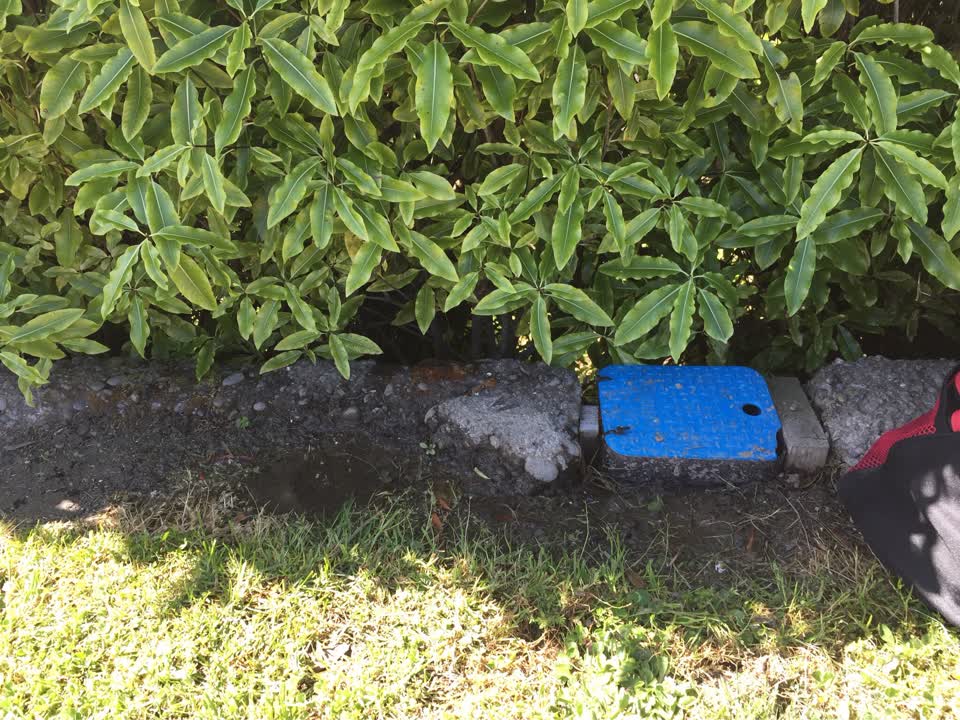The photograph attached to this water leak report