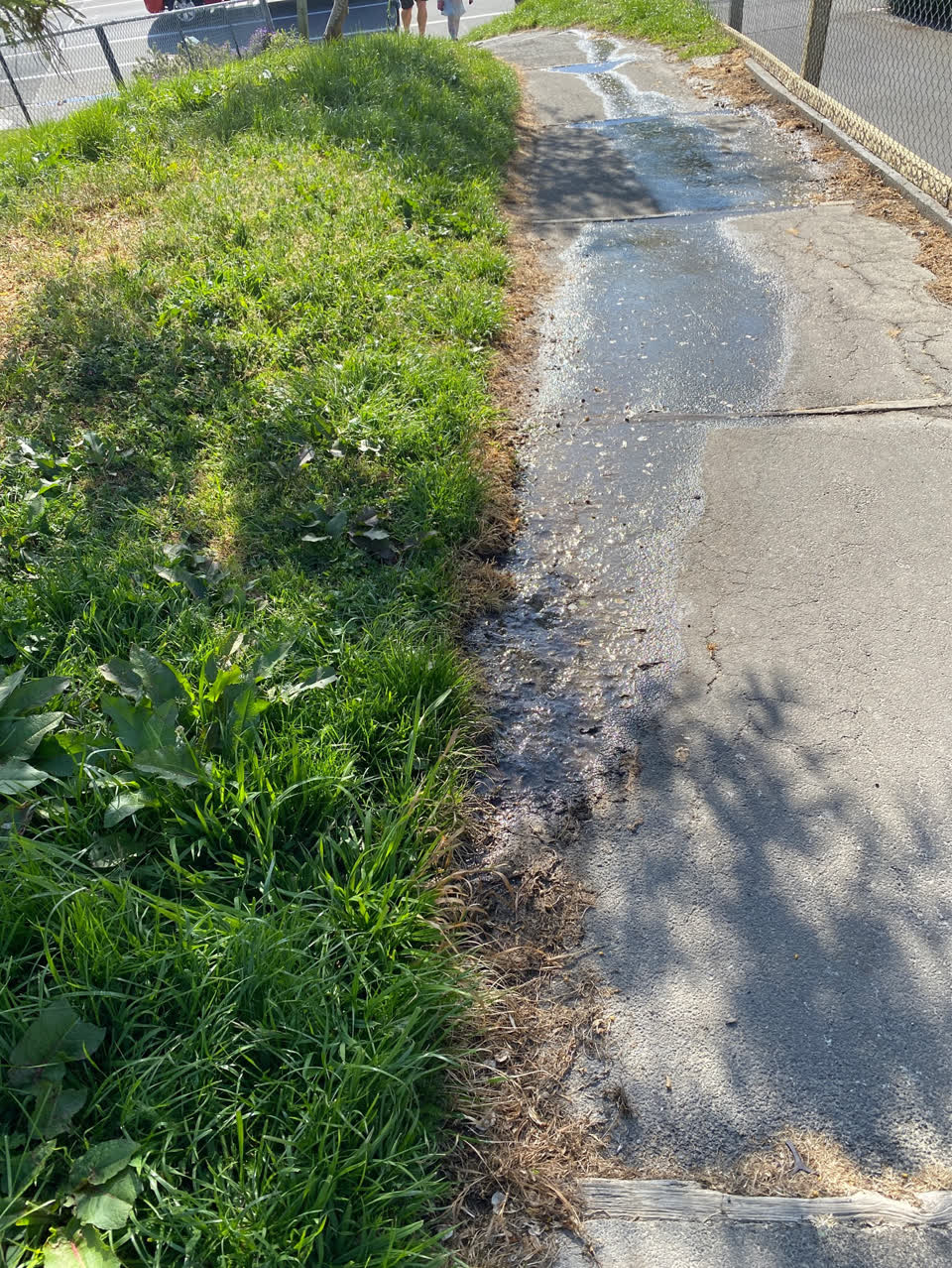 The photograph attached to this flooding report