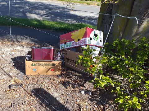 Dumped Rubbish — a report photo