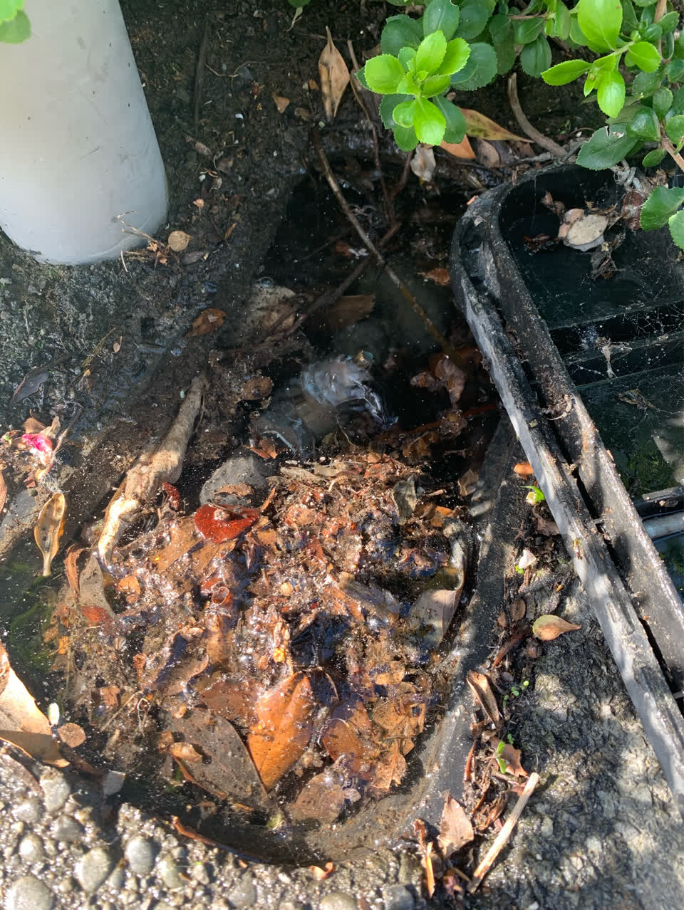 The photograph attached to this water supply report
