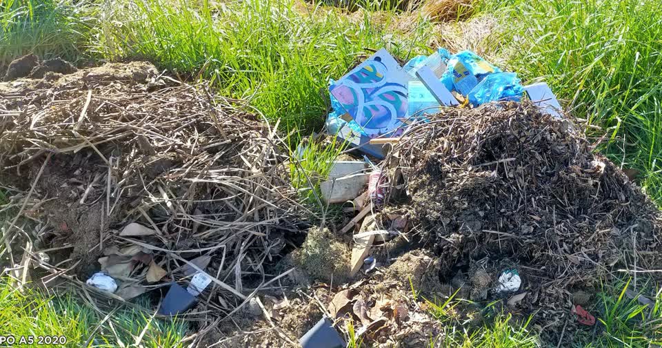 The photograph attached to this dumped rubbish report