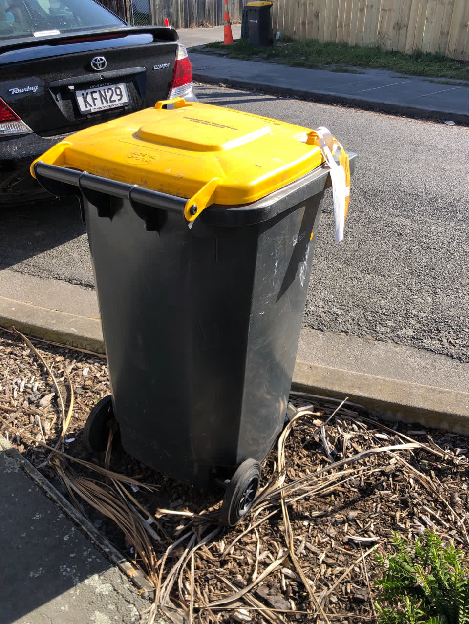 The photograph attached to this rubbish and bins - general report