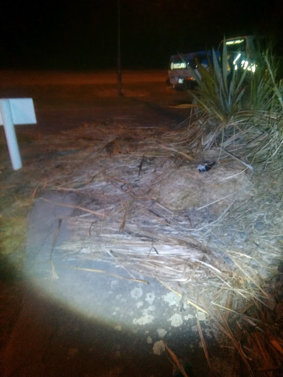 The photograph attached to this parks report