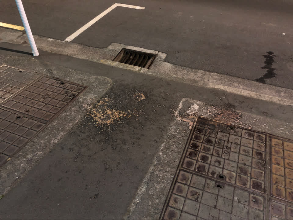 The photograph attached to this vandalism - general report