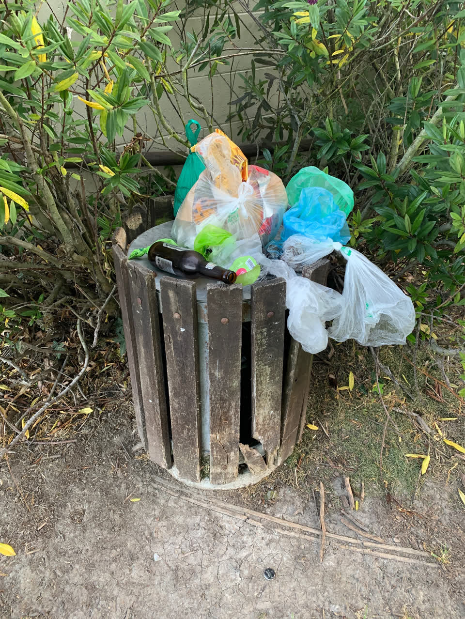 The photograph attached to this rubbish and bins - general report