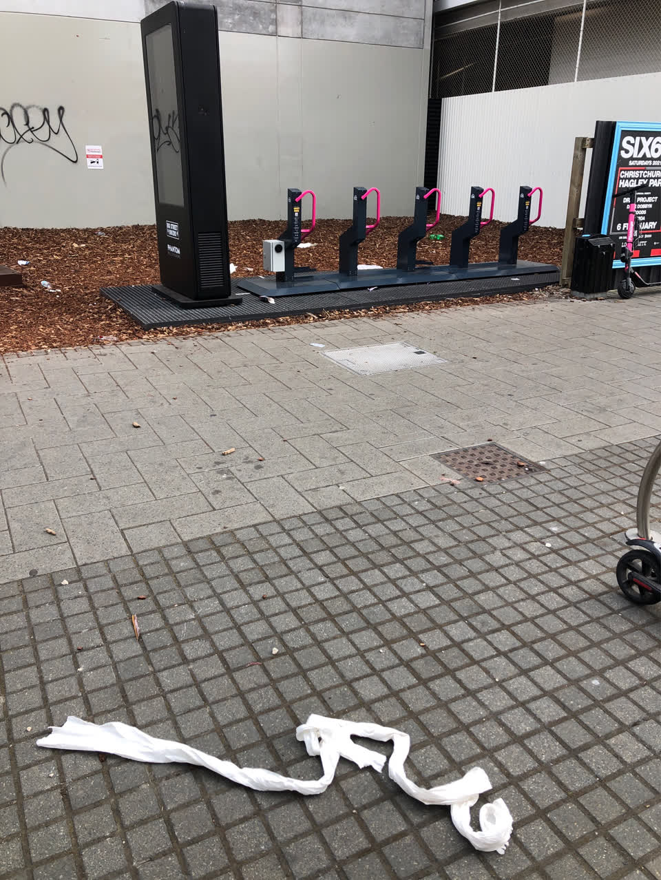 The photograph attached to this litter report