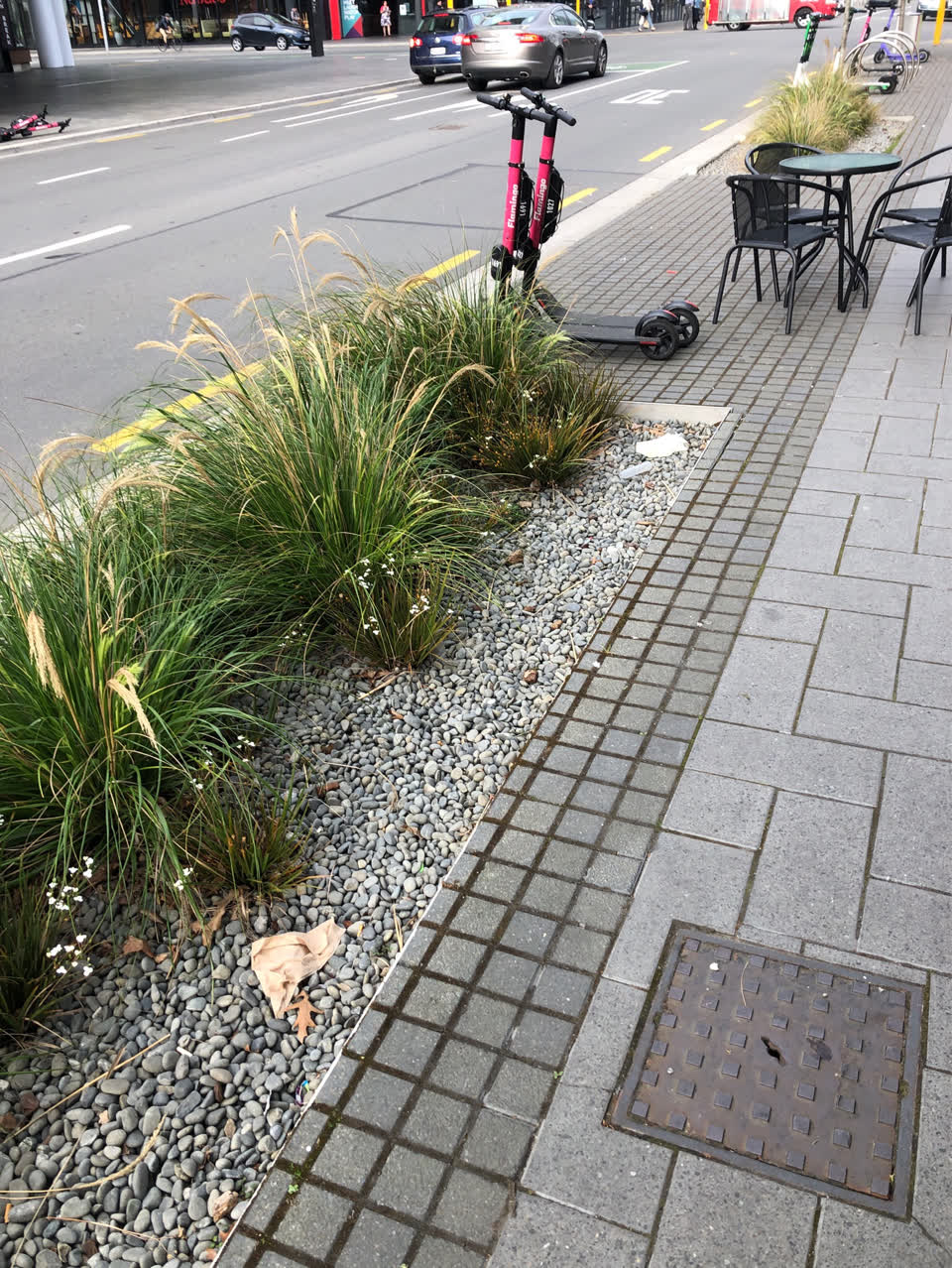 The photograph attached to this litter report