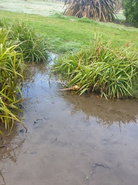 Water Leak, a report photo
