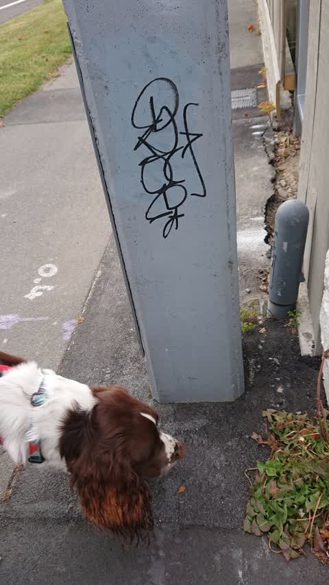 Graffiti, a report photo