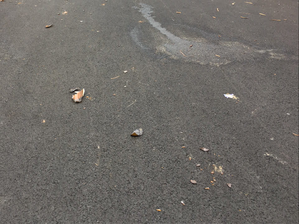 The photograph attached to this pavement - general report