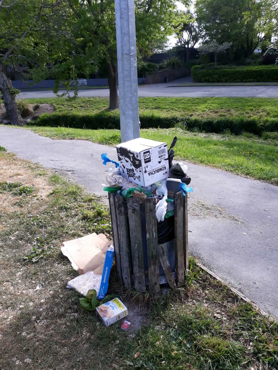 The photograph attached to this litter report