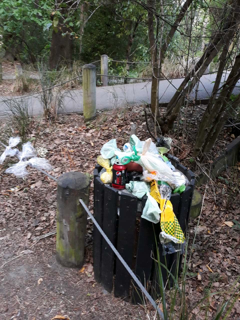The photograph attached to this rubbish and bins - general report