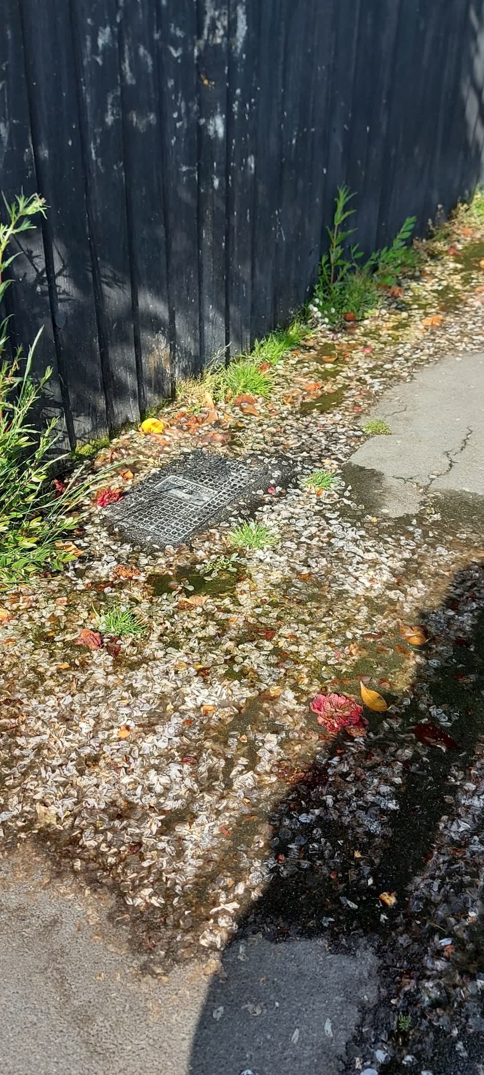 The photograph attached to this water leak report