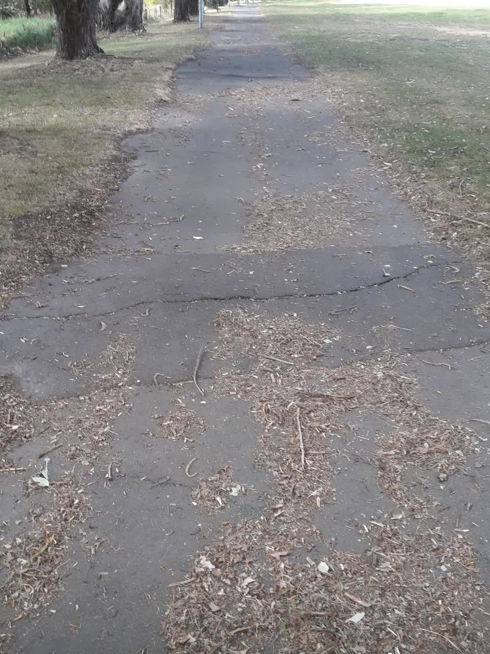 The photograph attached to this parks report