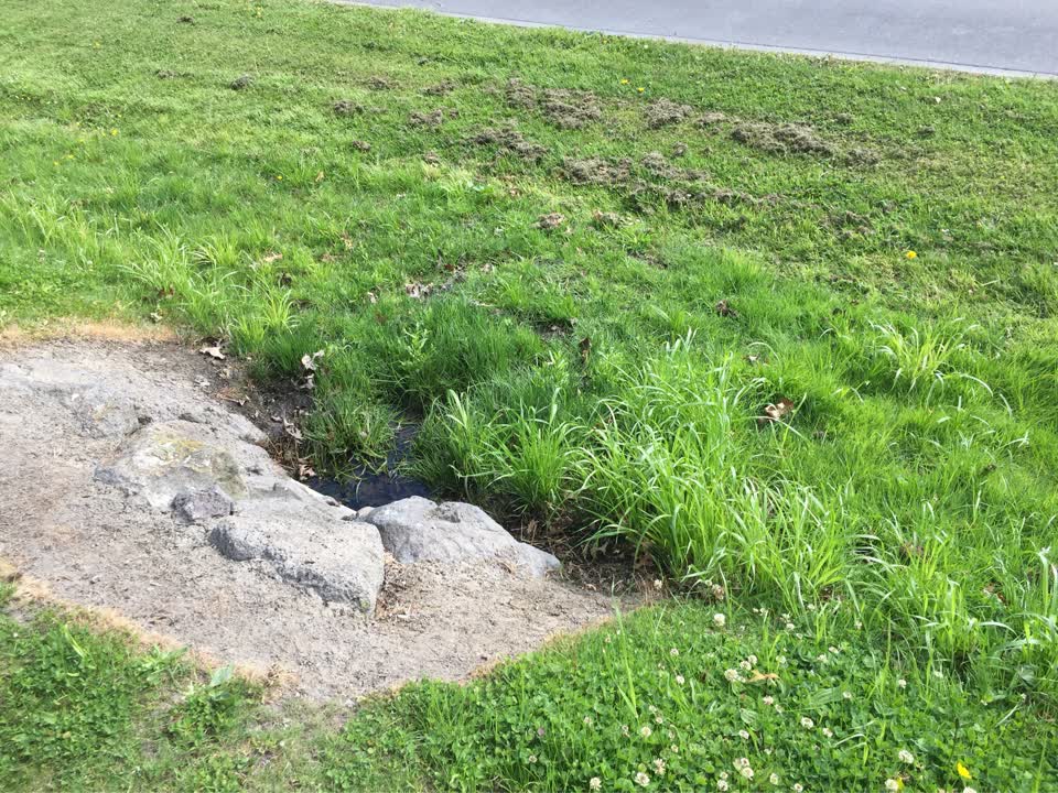 The photograph attached to this water general report
