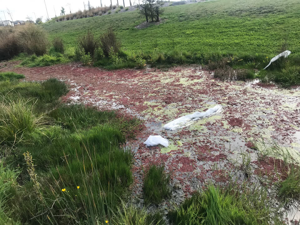 The photograph attached to this parks report