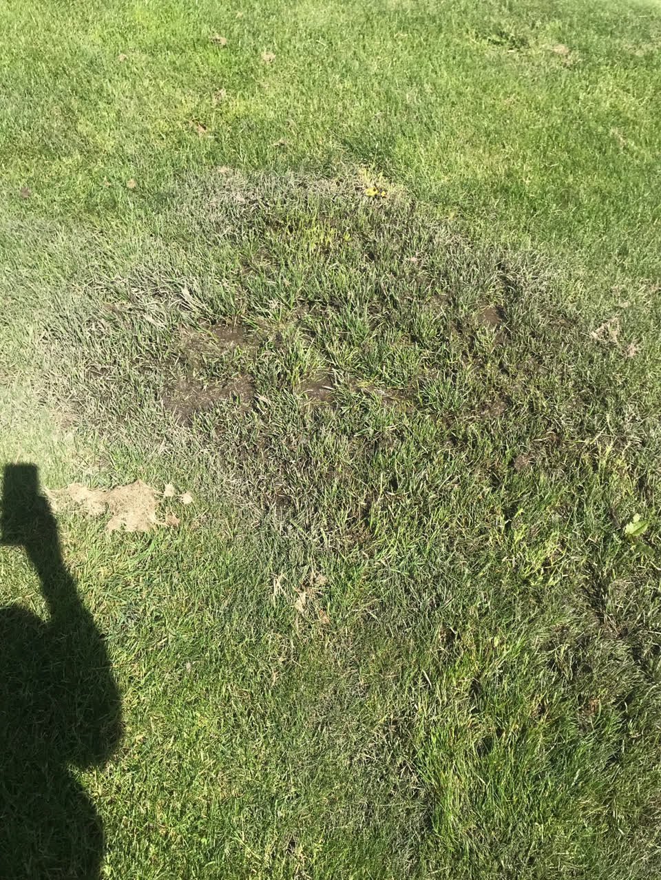The photograph attached to this water leak report