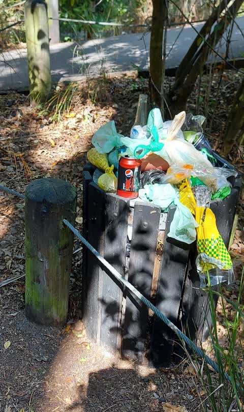 Rubbish and Bins - General, a report photo