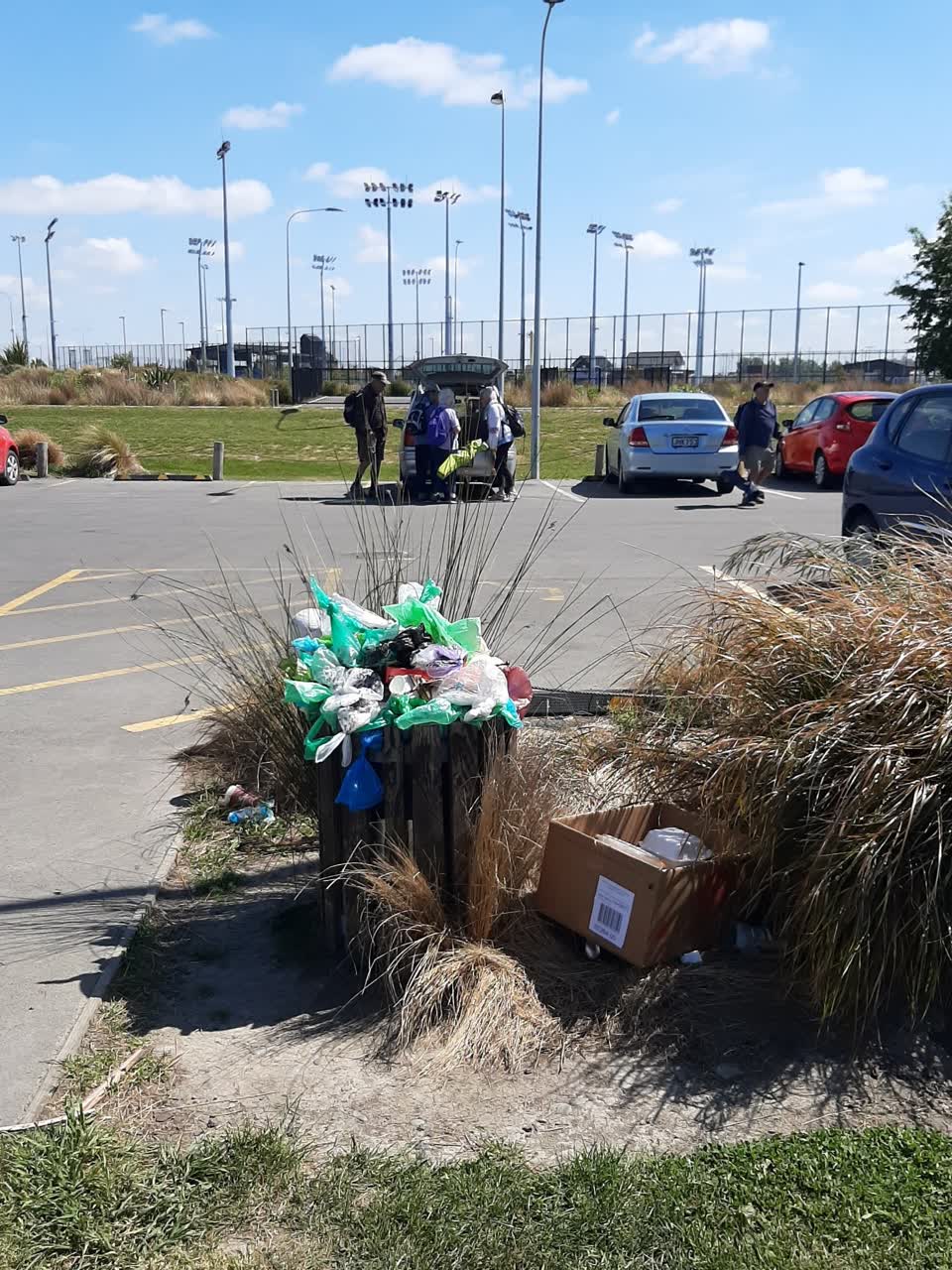 The photograph attached to this rubbish and bins - general report