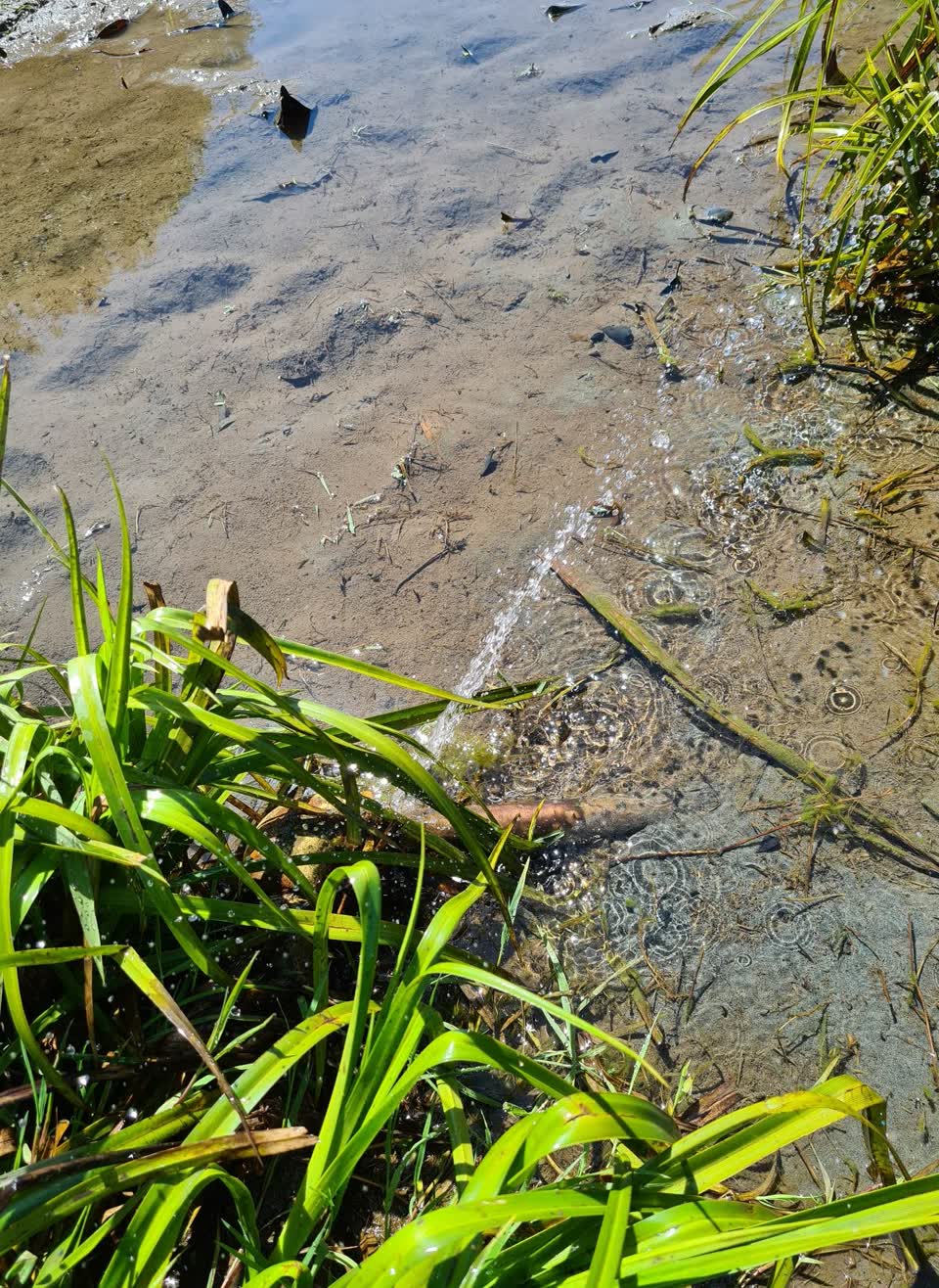 The photograph attached to this water leak report
