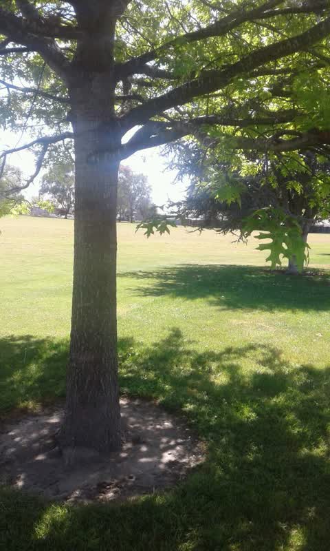 Parks, a report photo