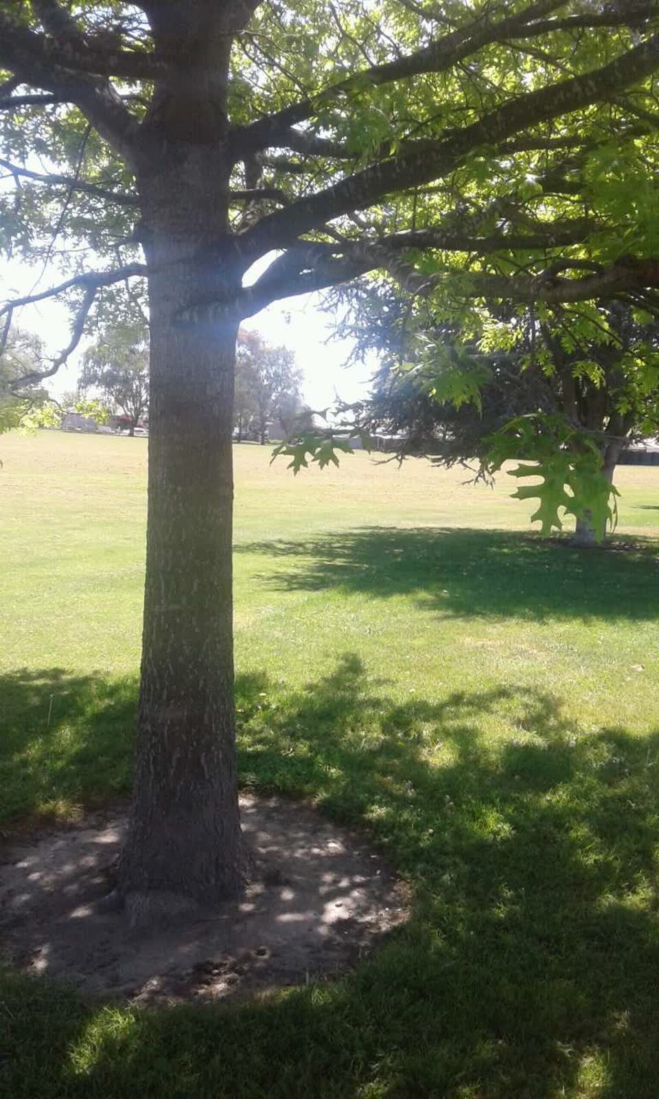 The photograph attached to this parks report