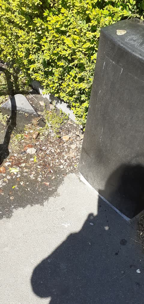 Water Leak, a report photo