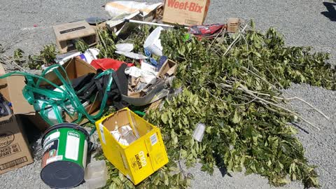 Dumped Rubbish, a report photo