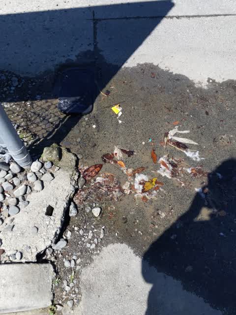 Water Leak, a report photo