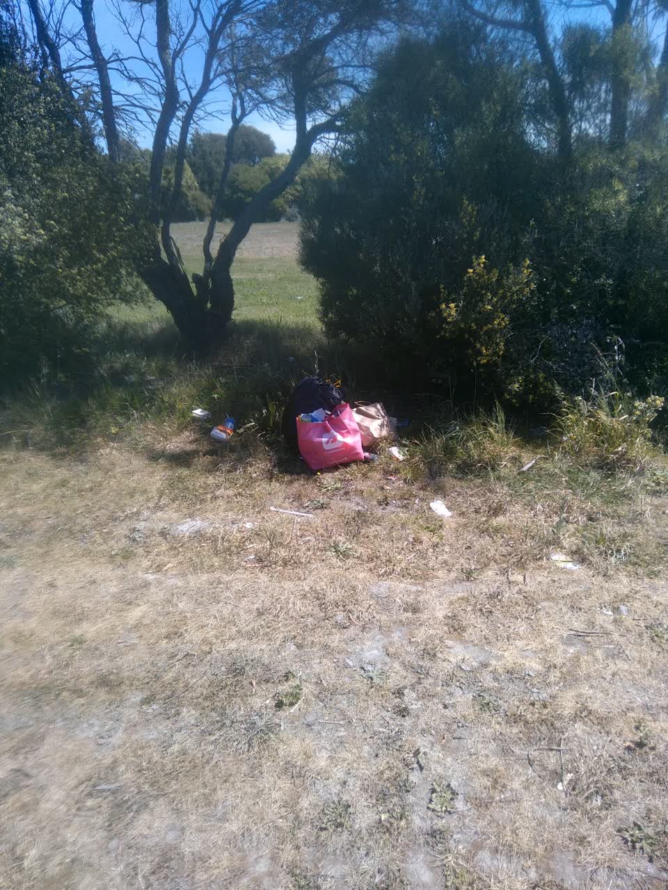 The photograph attached to this dumped rubbish report