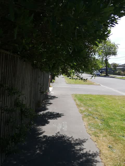 Overgrown Vegetation, a report photo