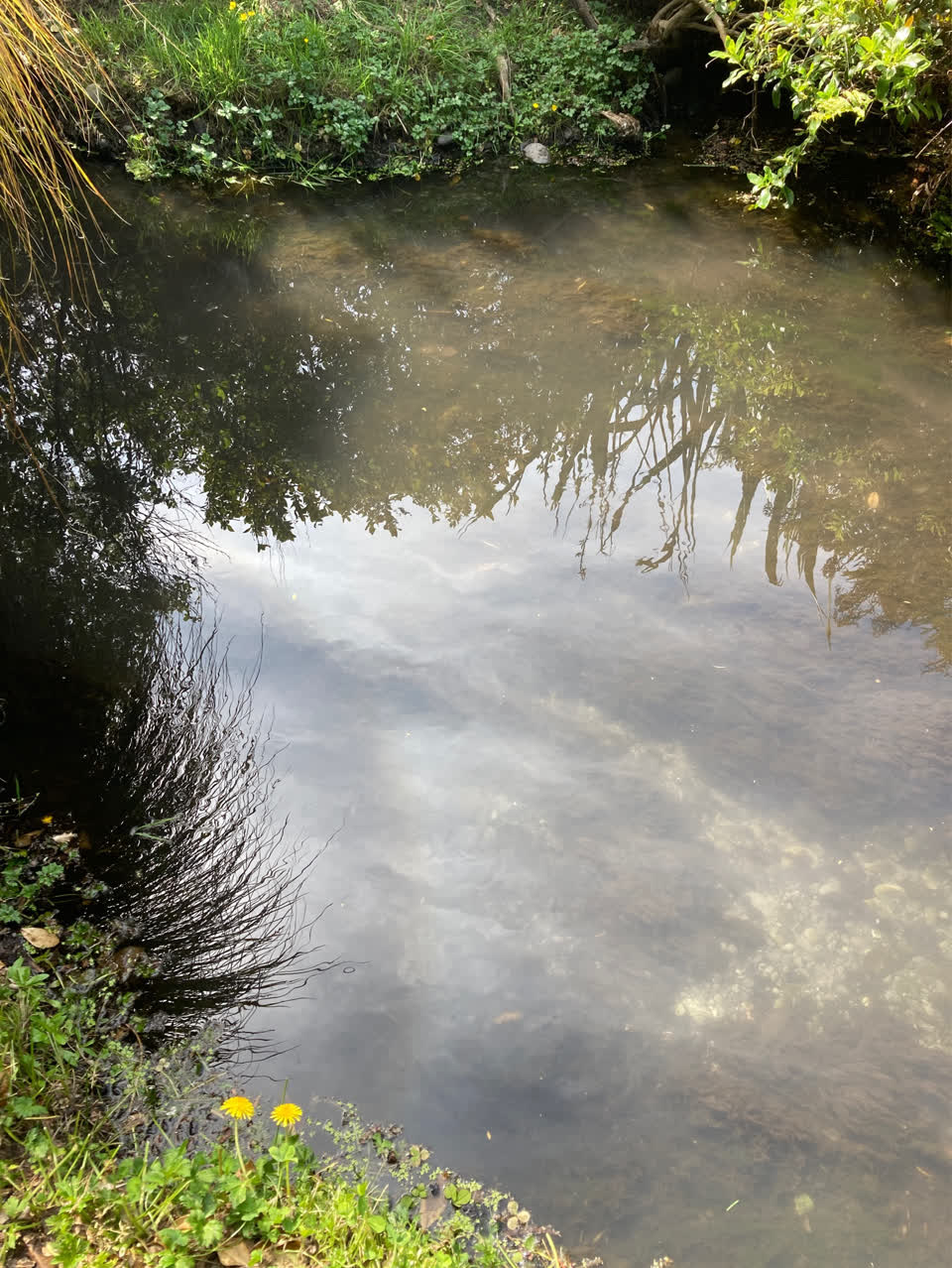The photograph attached to this pollution - general report