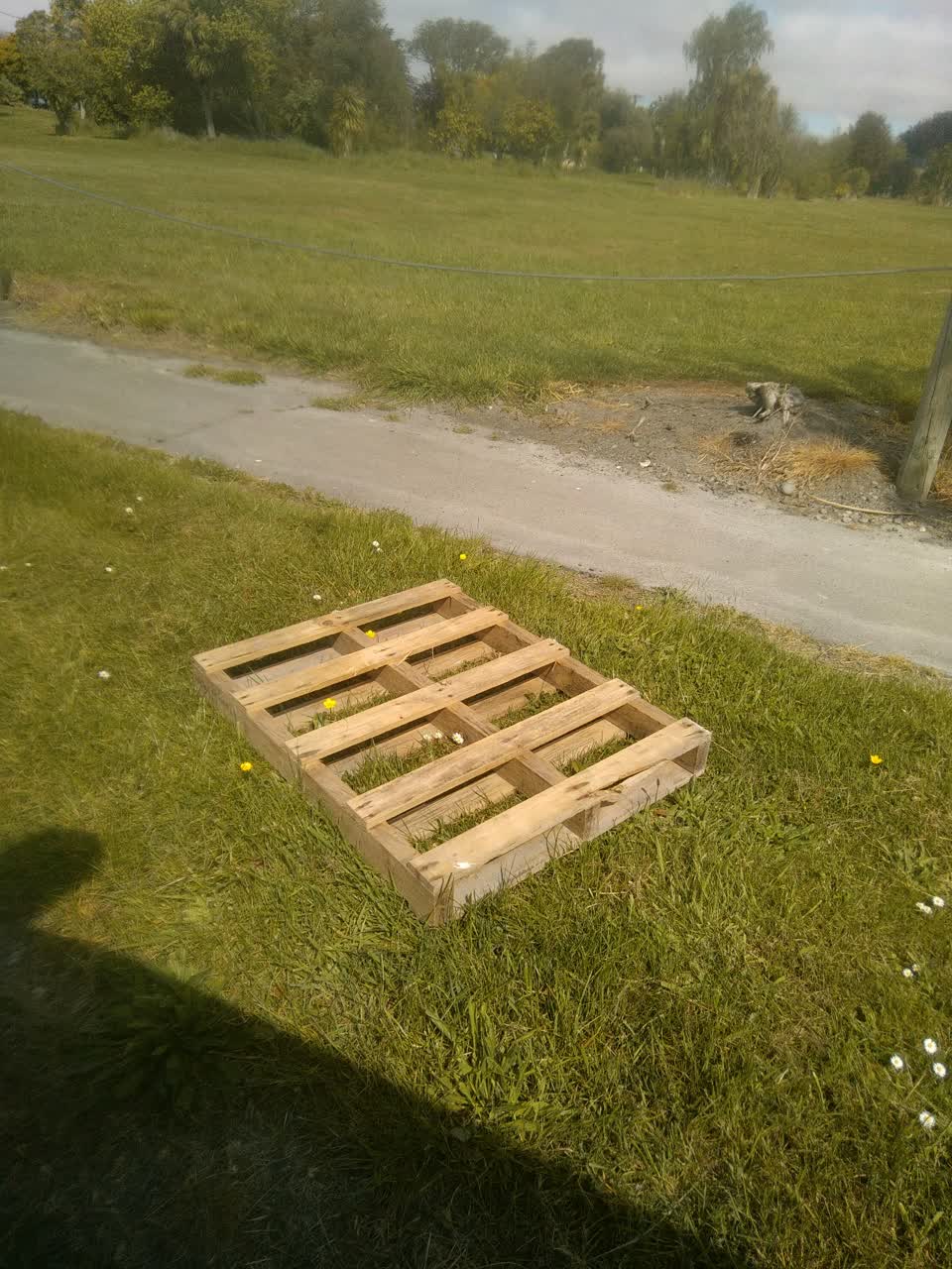 The photograph attached to this dumped rubbish report