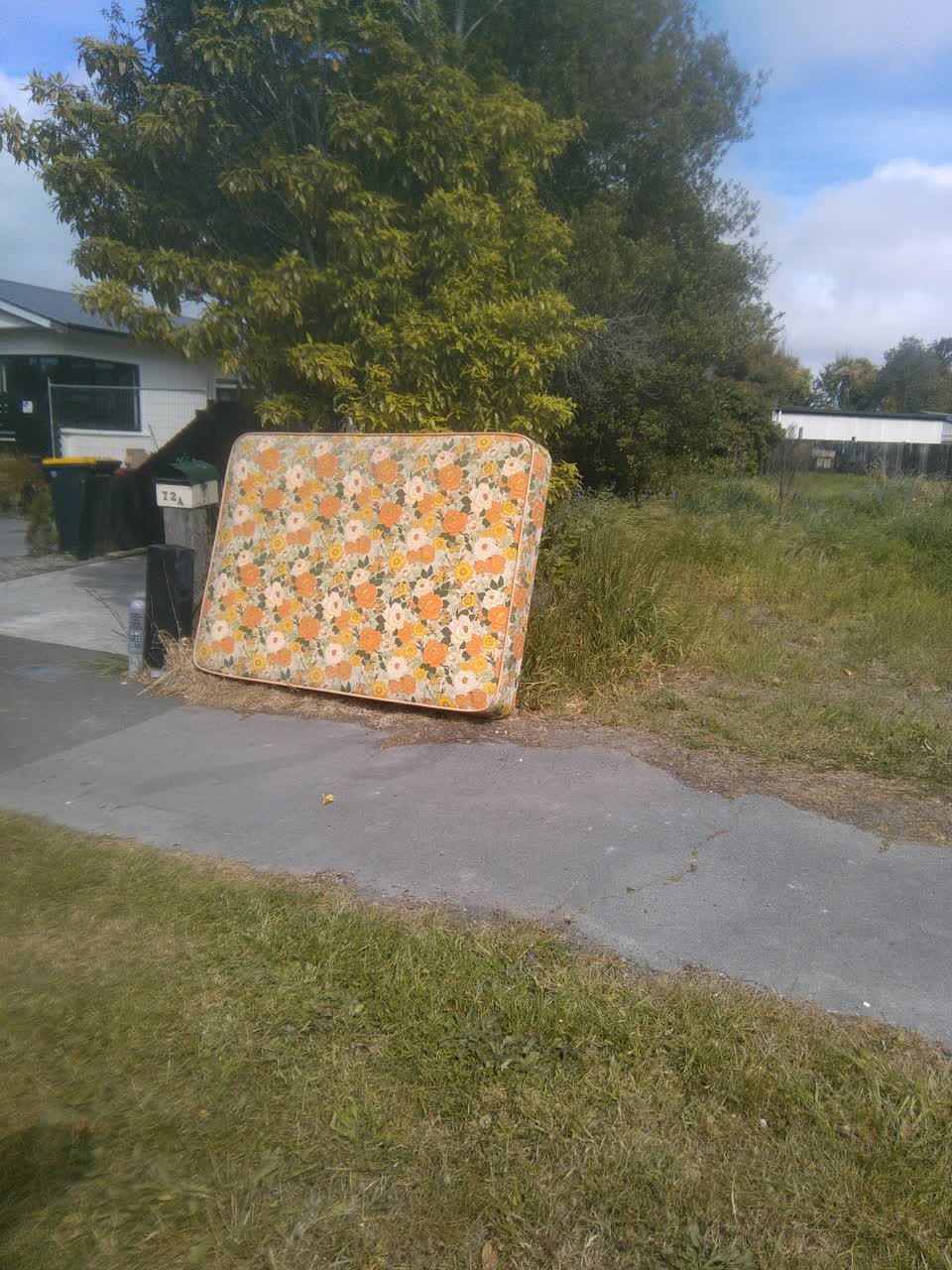 The photograph attached to this dumped rubbish report
