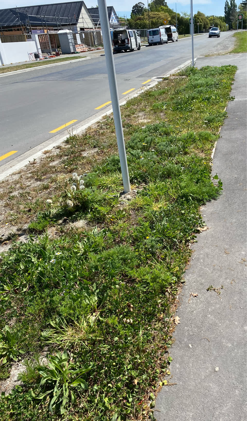 The photograph attached to this overgrown vegetation report