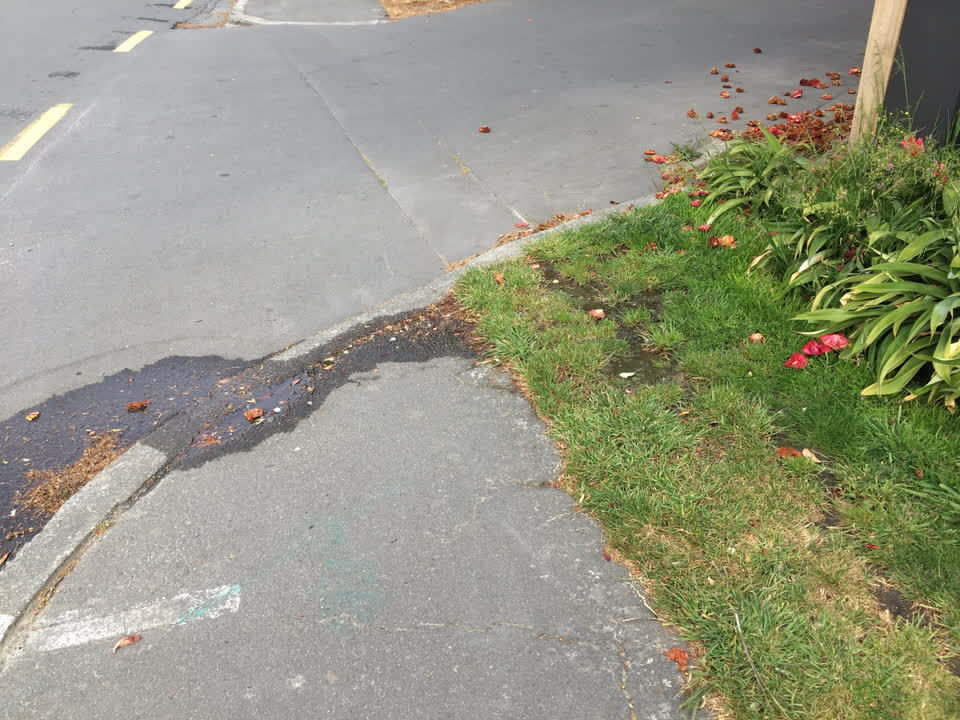 The photograph attached to this water leak report