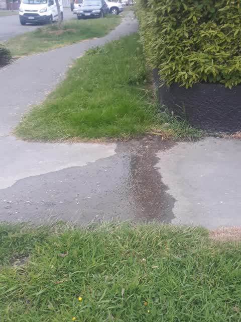 Water Leak, a report photo