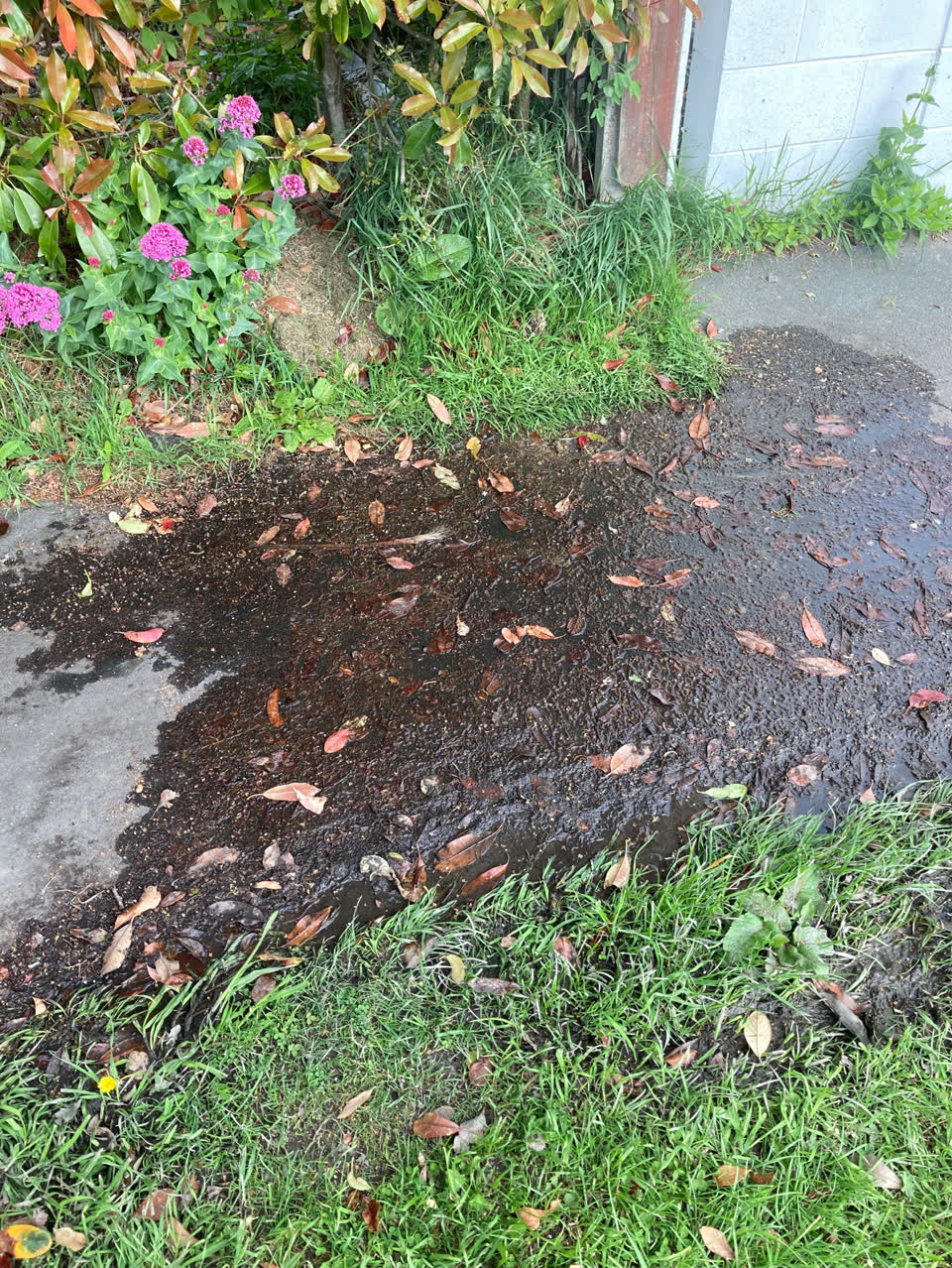 The photograph attached to this water leak report