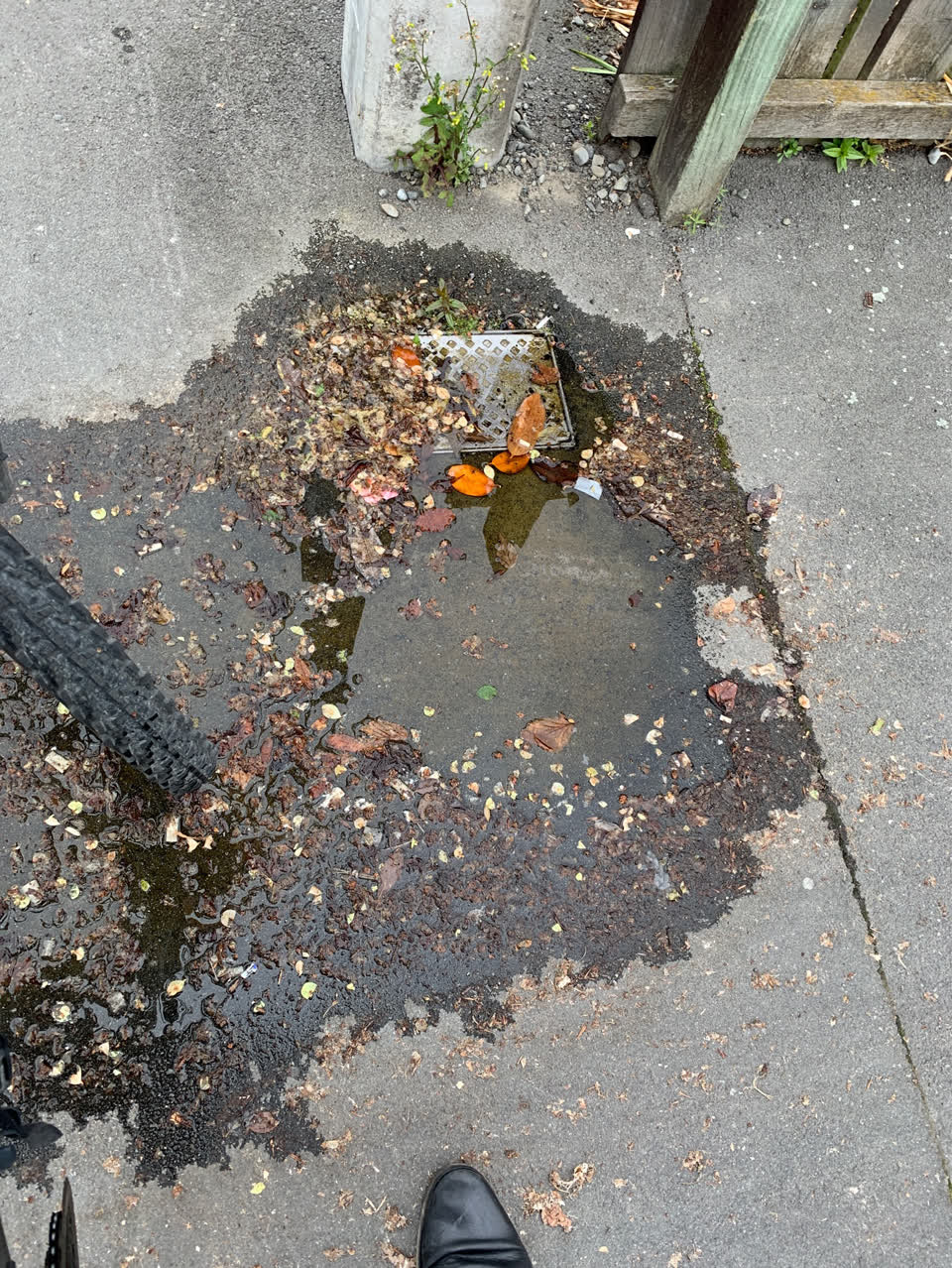 The photograph attached to this water leak report
