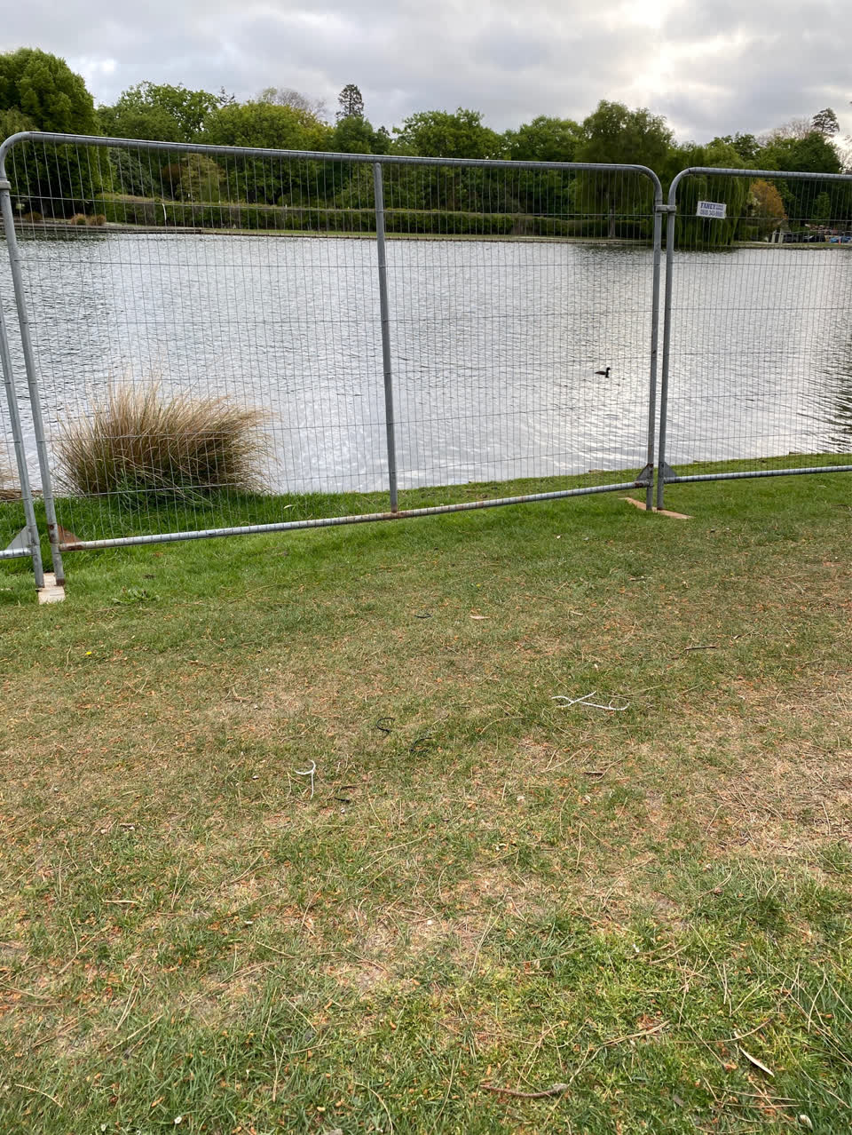 The photograph attached to this litter report