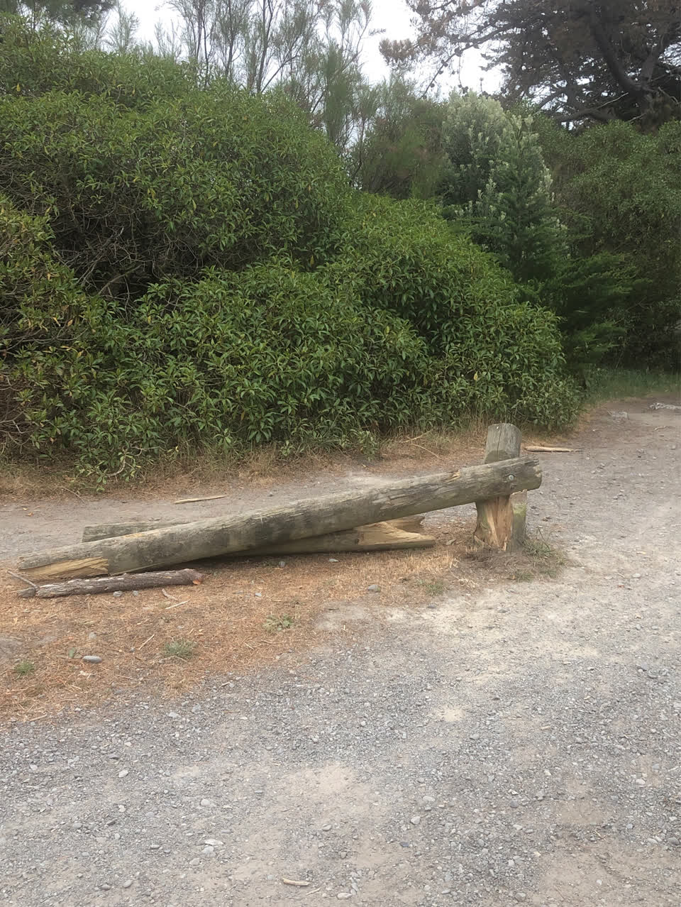The photograph attached to this parks report