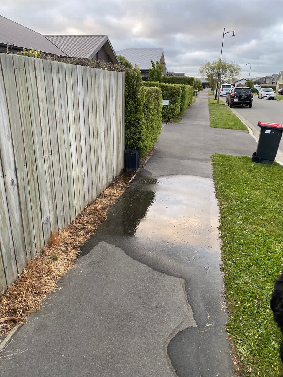 The photograph attached to this water leak report