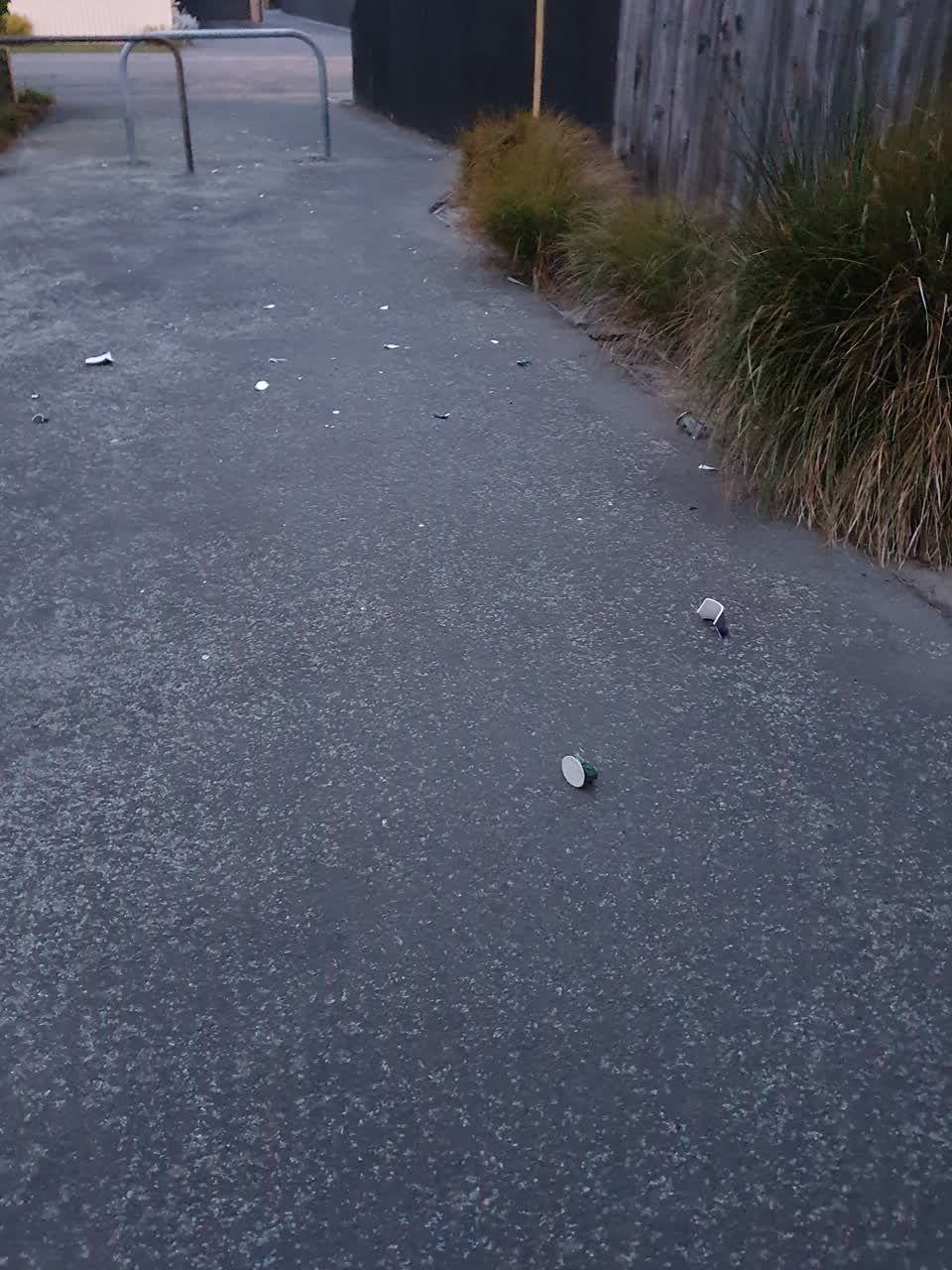The photograph attached to this pavement - general report