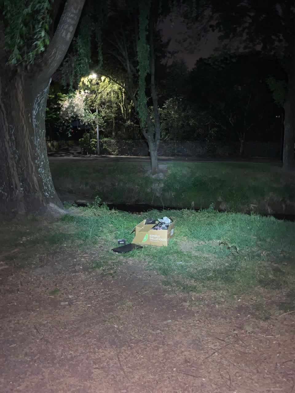The photograph attached to this dumped rubbish report